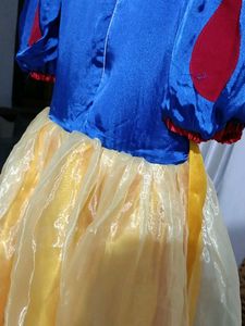 Snow White Costume