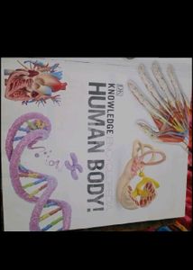 Knowledge Encyclopedia Human Body