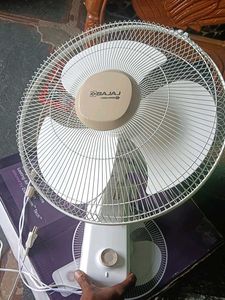 Bajaj Wall fan