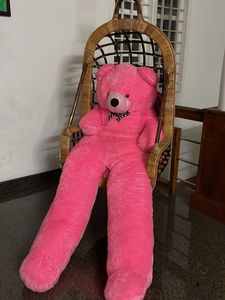 Pink Plush Teddy Bear