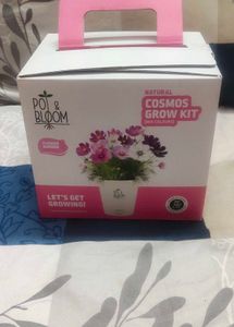 natural Cosmos Flower Grow Kit