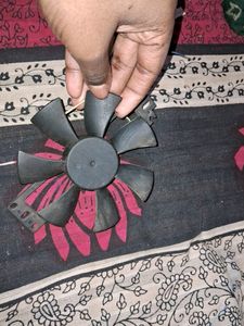 Fan