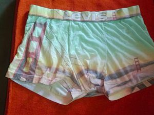 Levi&#39;s Printed Briefs