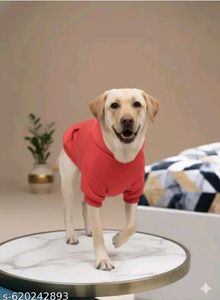 Red Dog Hoodie