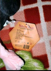 Wallace &amp; Gromit Feathers McGraw Plush