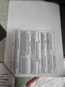 Microbes in Human Welfare Study Sheet