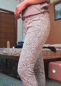 Animal Print Pants