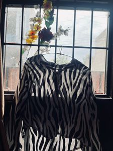 Zebra Print Long Sleeve Top