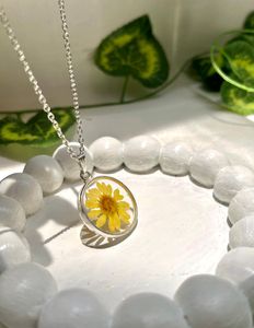 Elegant Daisy
