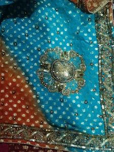 Gorgeous Embellished Saree