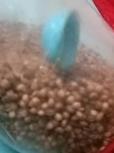 CORIANDER Seeds fried Healthy And Weight lossing