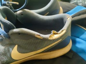Nike Flex Contact UK9