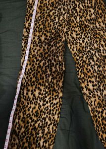 Leopard Print Pants