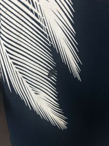 Neerus Top!🤩🤩🤩🤩🤩