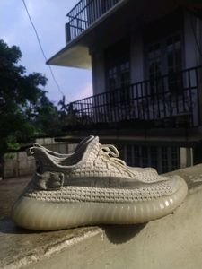 Adidas Yeazy Shoe 👟