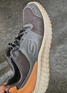 Skechers Casual Shoes