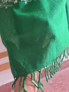 Elegant Green Ethnic woolen stole