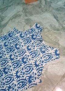 Blue &amp; White Printed Dress