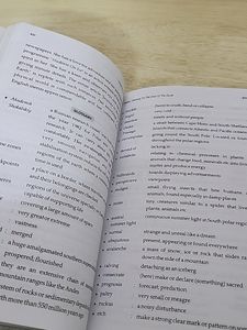 Class 12 Literature Companion