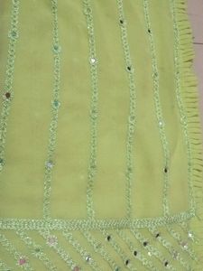 Light Green Embellished Saree