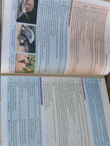 9th Class Physics, Chemistry Books &amp; all In One