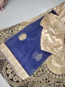 Gorgeous Lehenga Choli