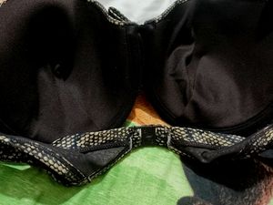 Leopard Print Brown Bra For Bust 38DD