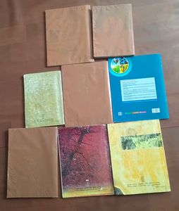 Class 10 CBSE NCERT Textbooks