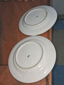HITHARI Dinnerware Plates