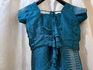 Blue Stones Saree &amp; Blouse