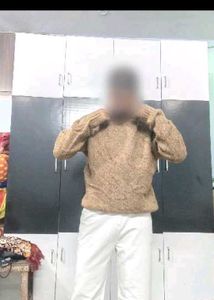 Korean Knit Pullover Sweater