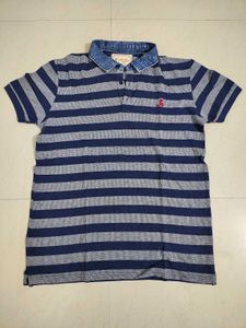 Stripped Polo Tshirt for men