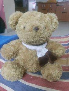 Cute Teddy Bear