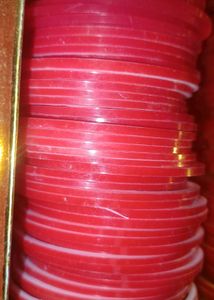Indian Bangles Set
