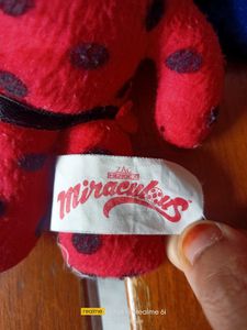 Miraculous Ladybug And Catnoir