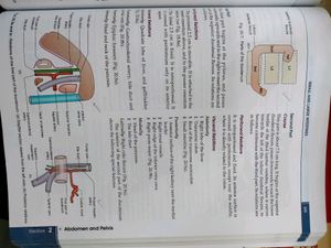 BD CHAURASIA anatomy Set Of 4 Volumes