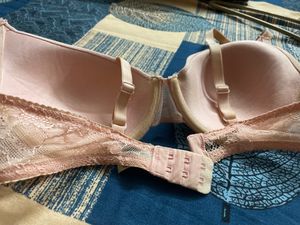 Zivame Basics Padded Wired Medium Coverage Bra