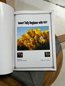 Smart Tally Beginner with GST