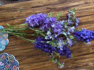 Purple Flowers