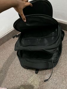 Flamingo&#39;s College/office Backpack