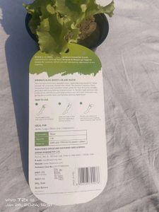 Sirona Razor With Aloe Strips Reusable