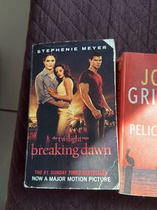 Assorted Fiction Book Bundle