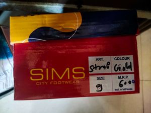 Golden Heeled Slip-On Sandals – New, Size 9