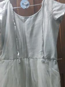 Elegant Embellished Ethnic Gown