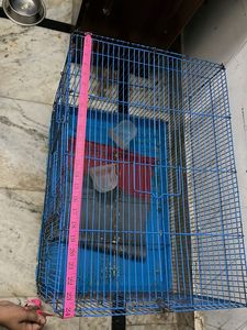 Cage Big Size