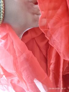 Georget Gown With Sequence Work