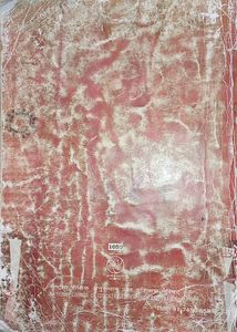 Combo Of First Flight And Footprint Without Feet