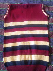 Striped Sleeveless Sweater Vest