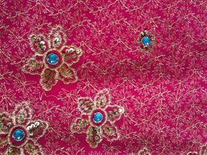 Women&#39;s fancy Saree