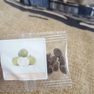 Different Gourds Seeds